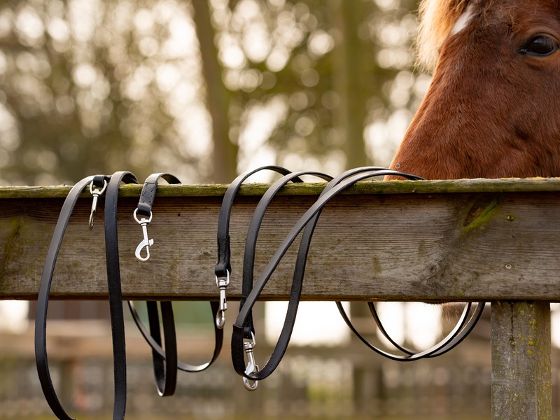 Leren teugels met clipjes